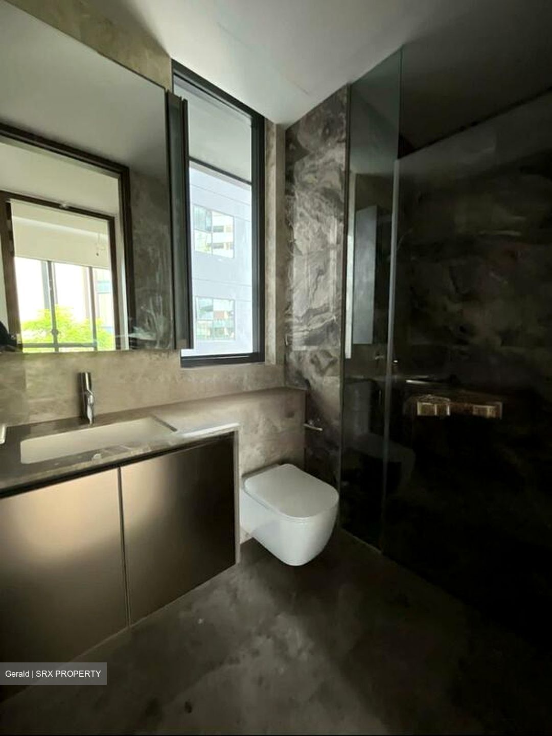 Leedon Green (D10), Condominium #528351781